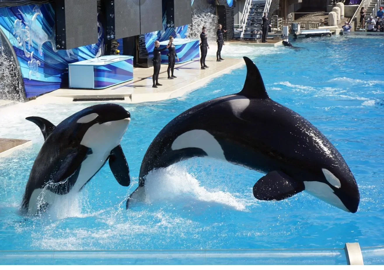 SeaWorld Orlando